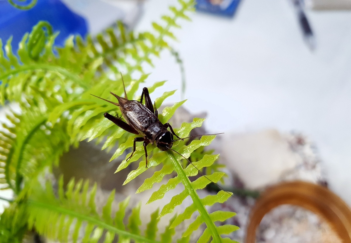 4-1 김민지 2.jpg