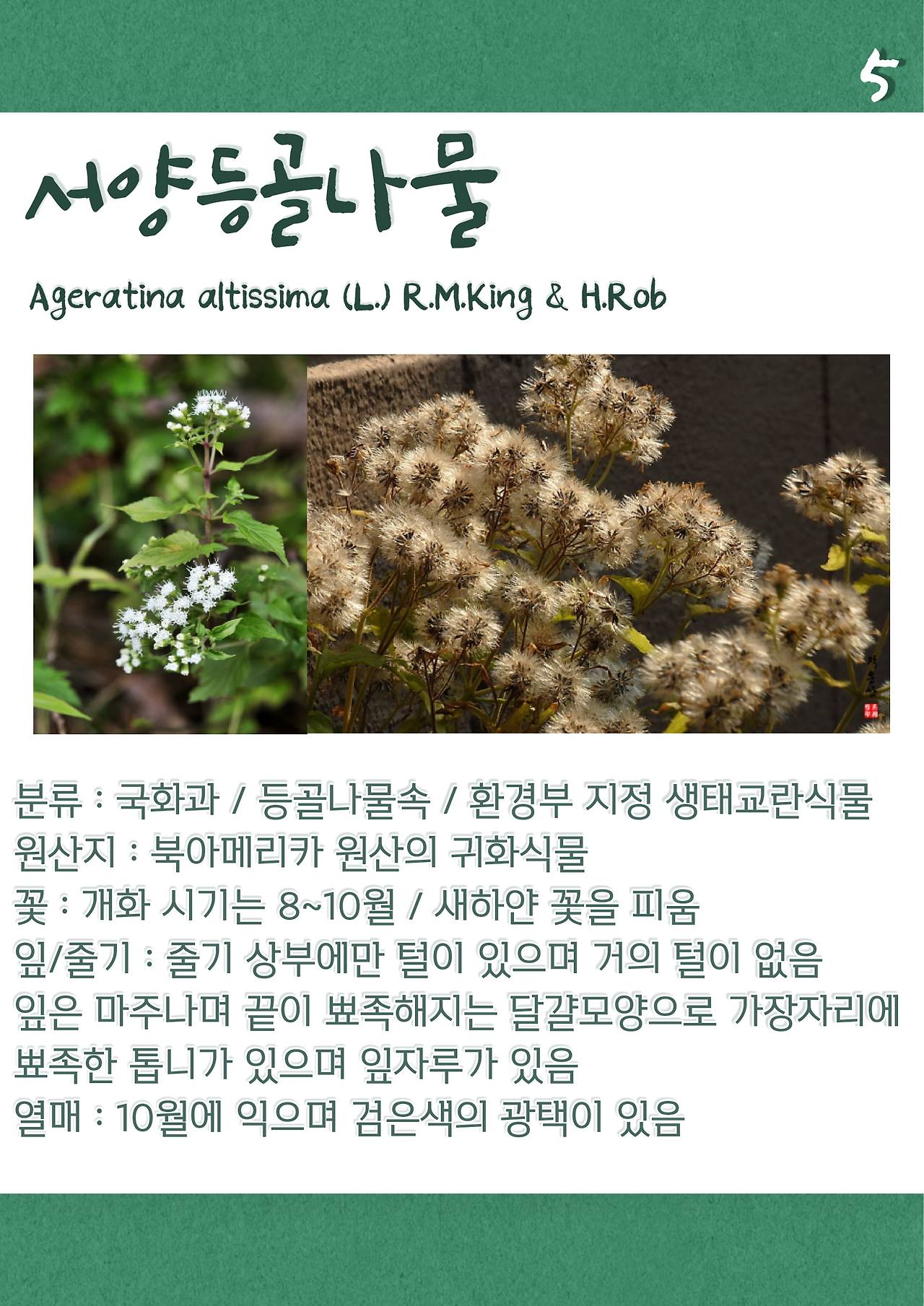 5-3 송하은 4.jpg