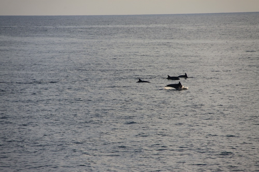 4-5 이령각 2.jpg