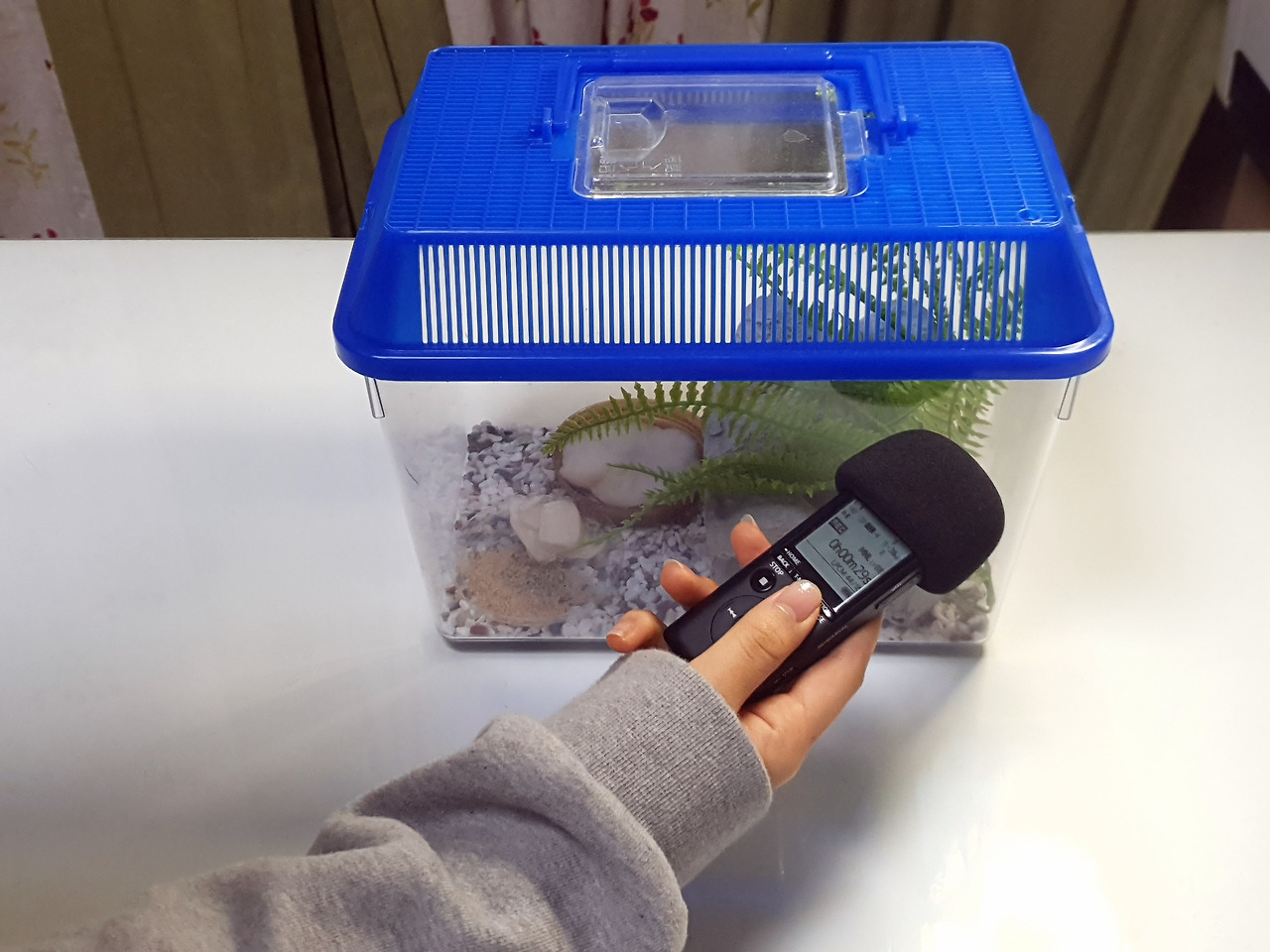 4-1 김민지 4.jpg