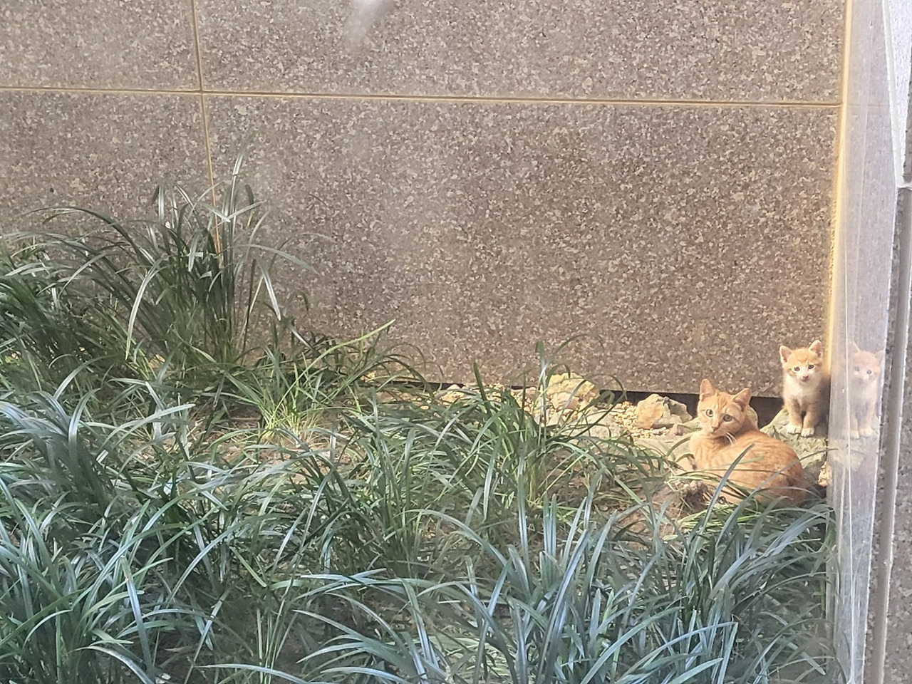 치즈아기와 2.jpg