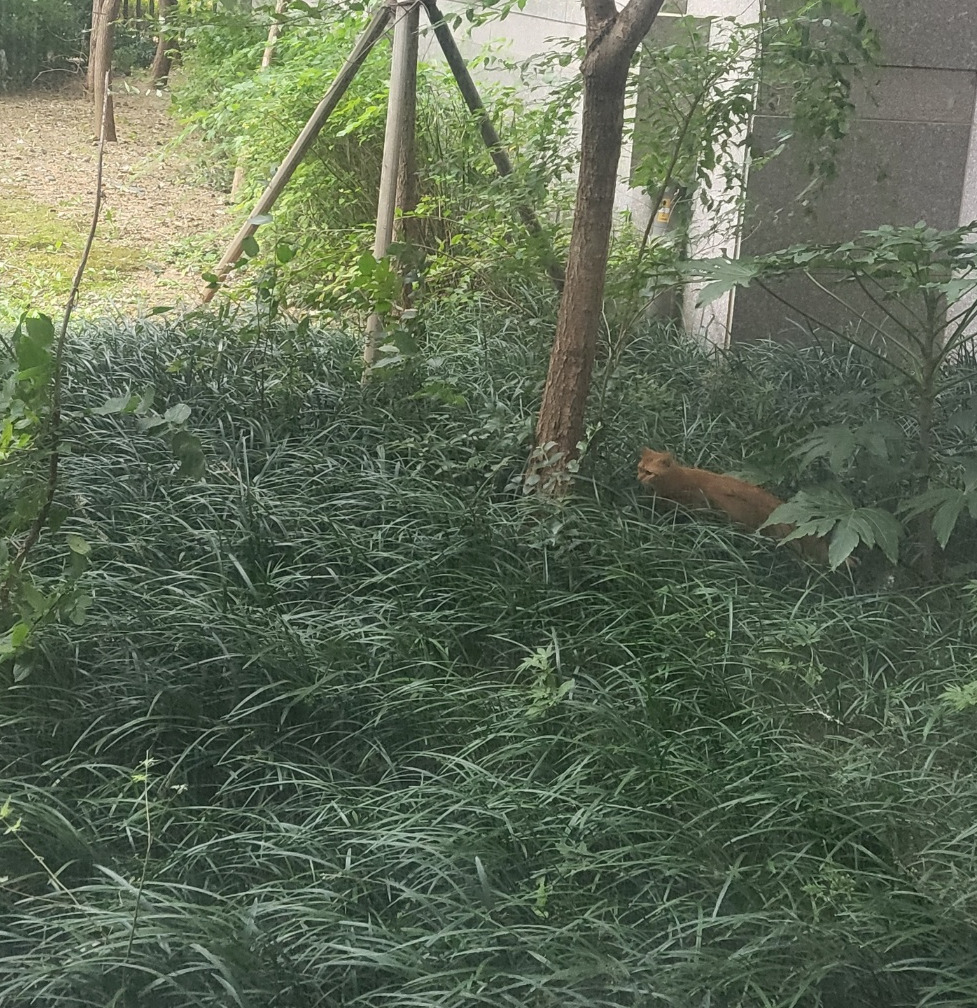 치즈 먹이 먹는 사진.jpg