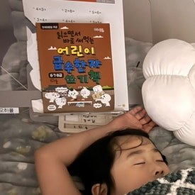 카지노 게임 추천