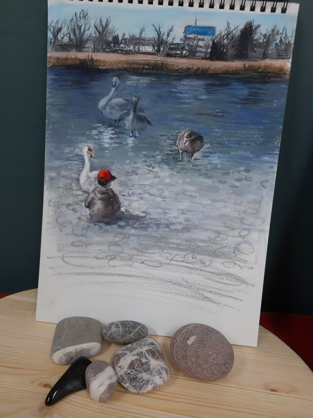 이자르 강변의 돌멩이, 백조.jpg