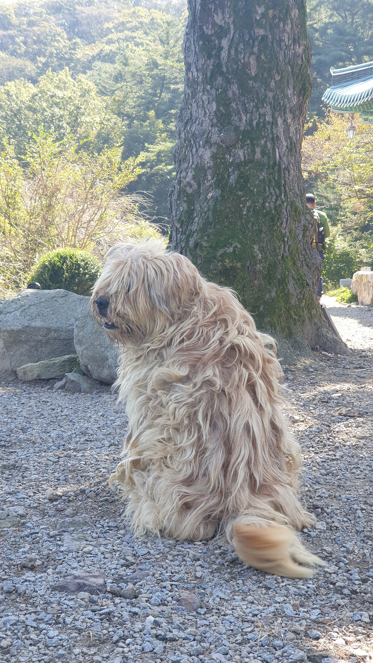 변산 힐 월명암.jpg