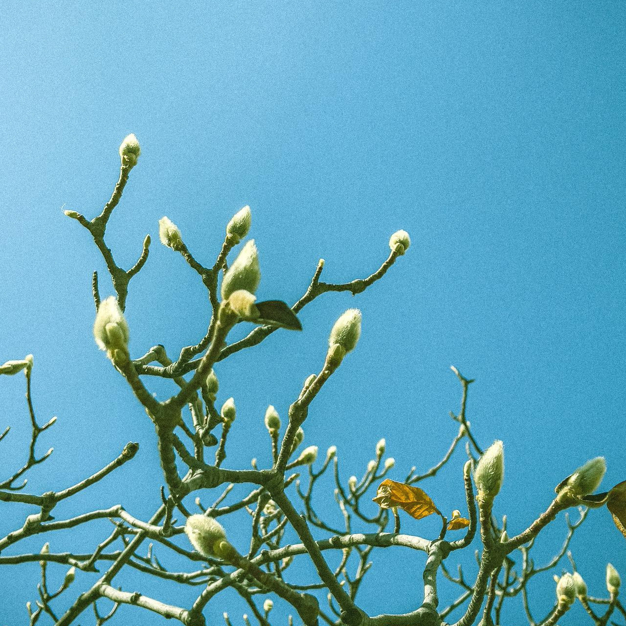 라이트룸 보정-4806.jpg