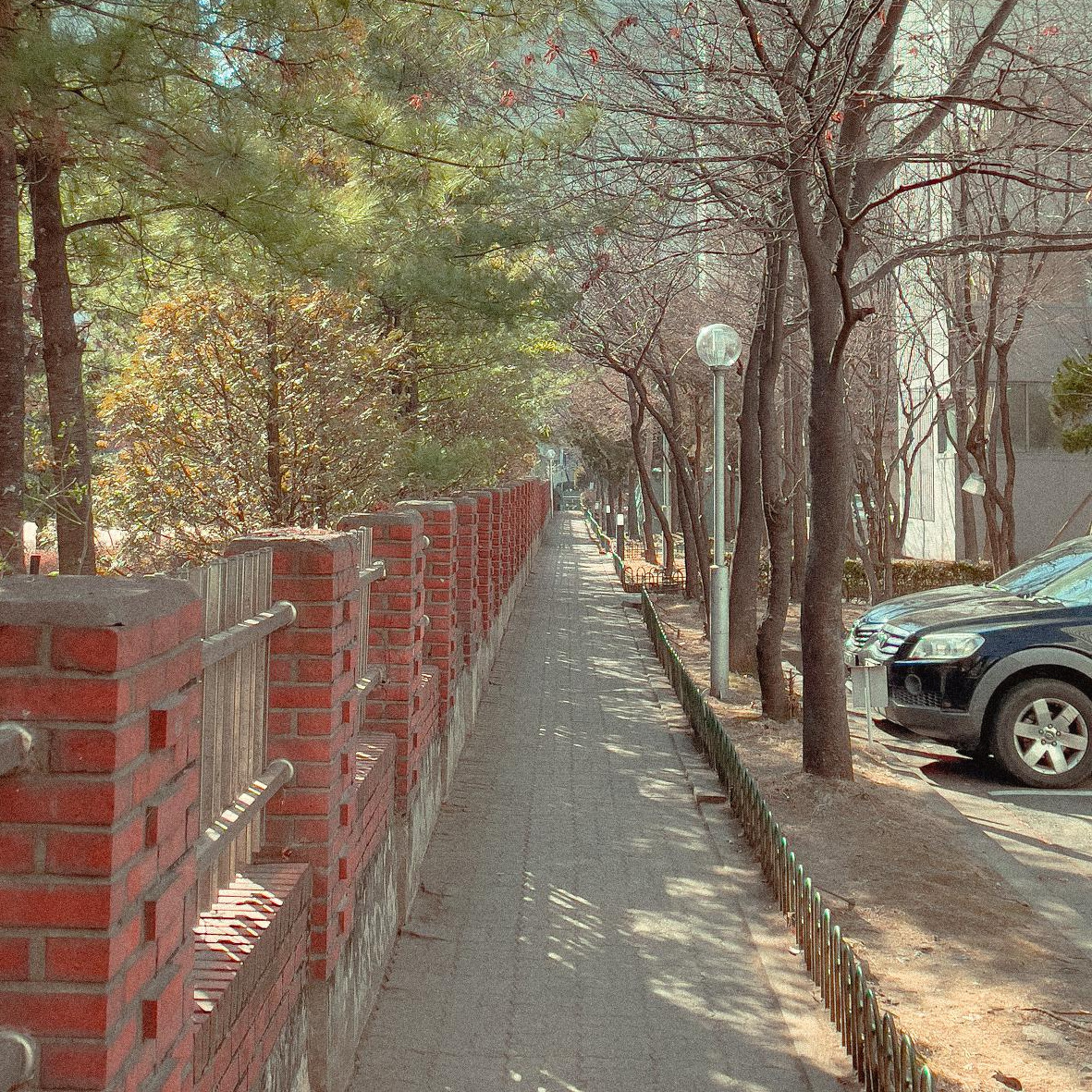 라이트룸 보정-4804.jpg