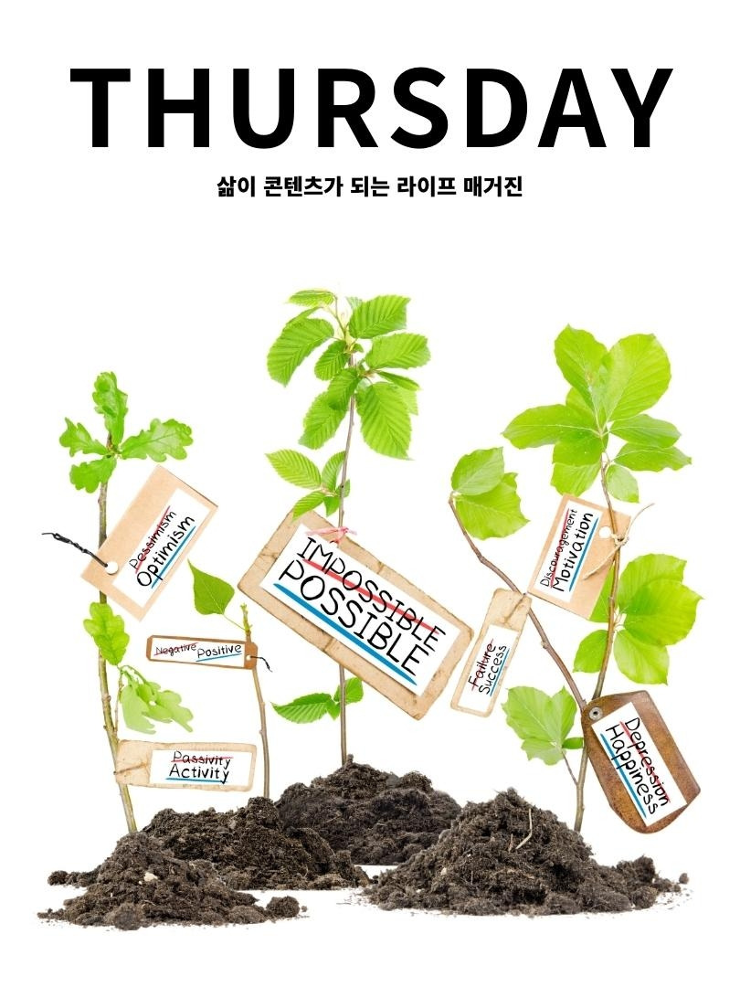 목요진 Vol.19.jpg