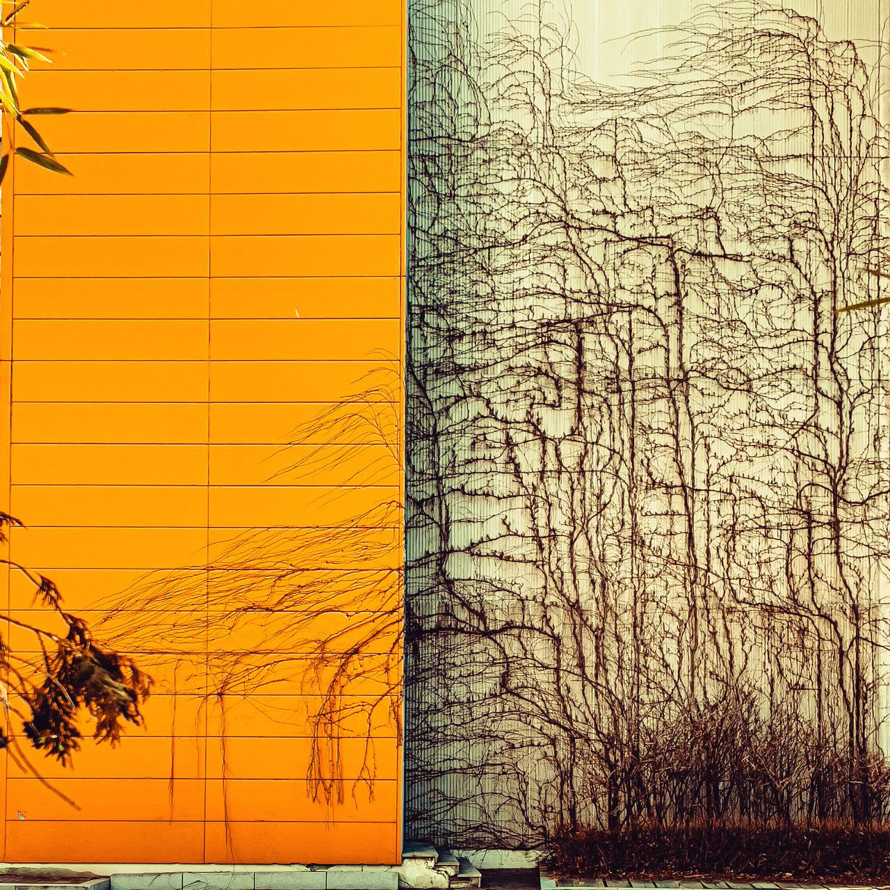 라이트룸 보정-4803.jpg