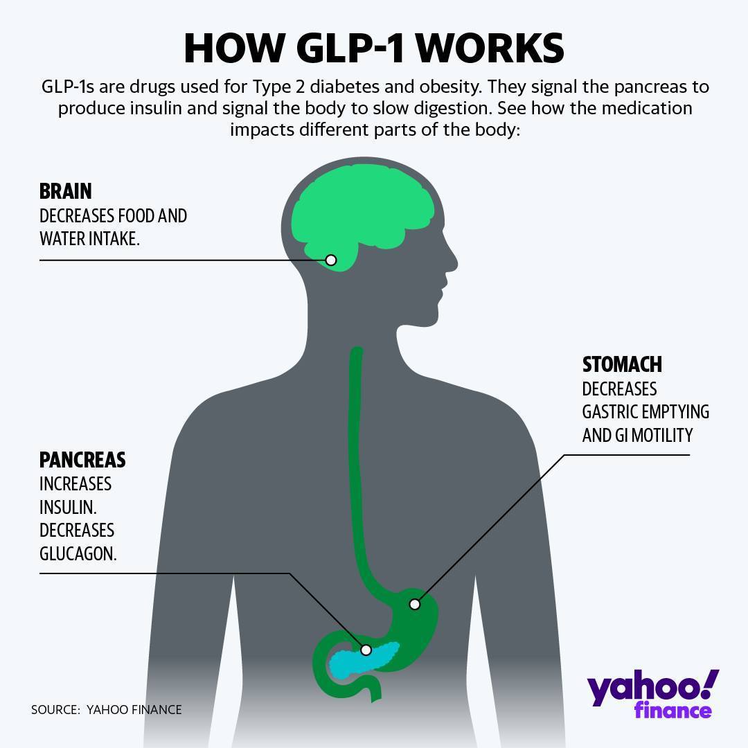 NVO LLY GLP-1 how it works.jpg