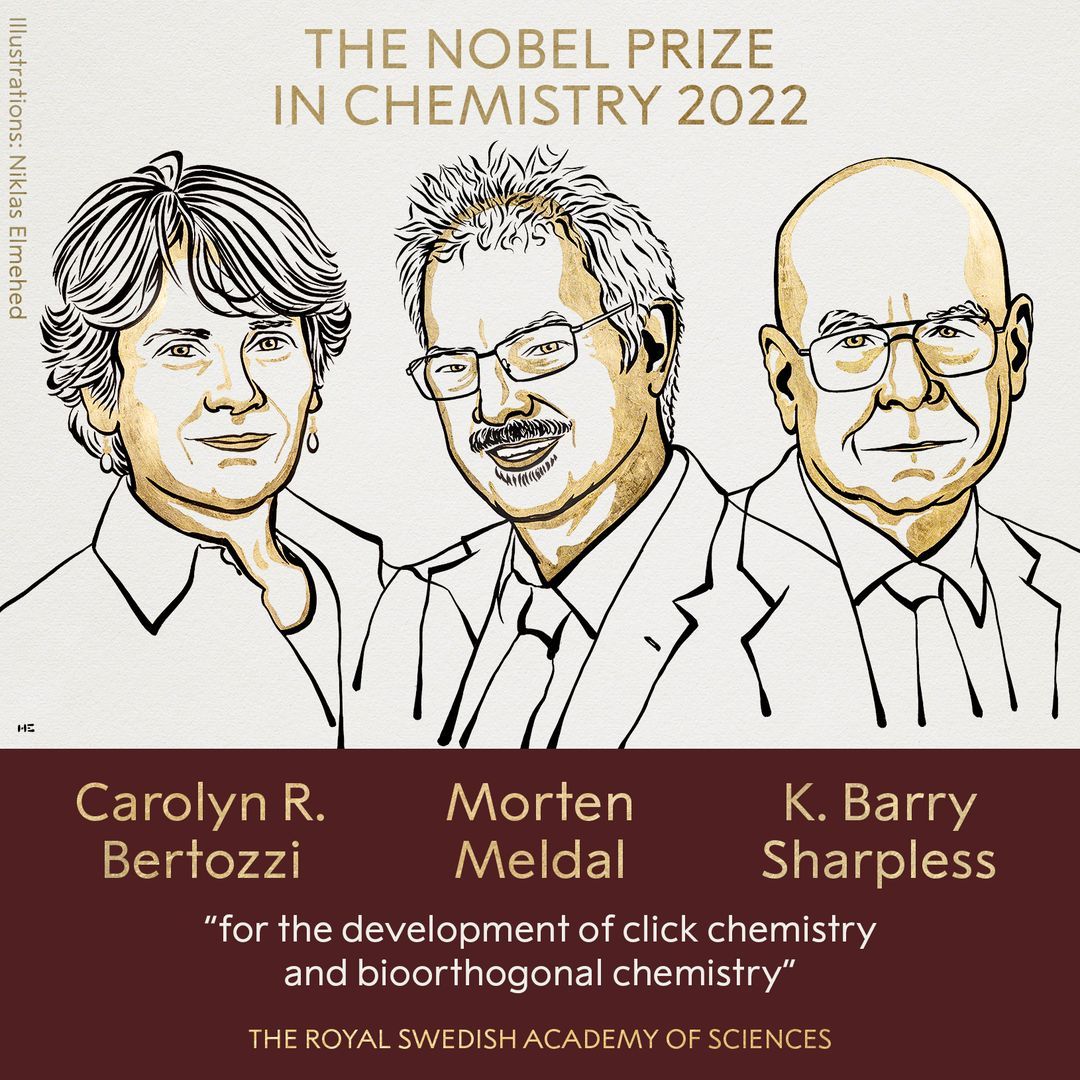 Nobel Prize 2022 Chemistry.jpg