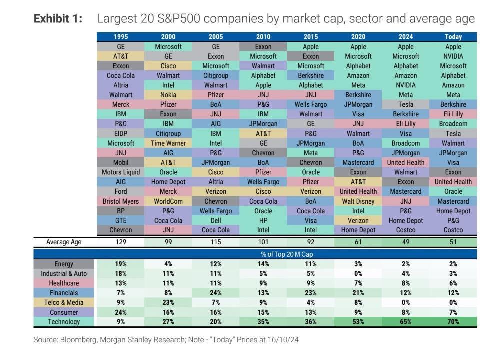 2024-11 S&P 500 Top 20 Average age 51 years.jpg