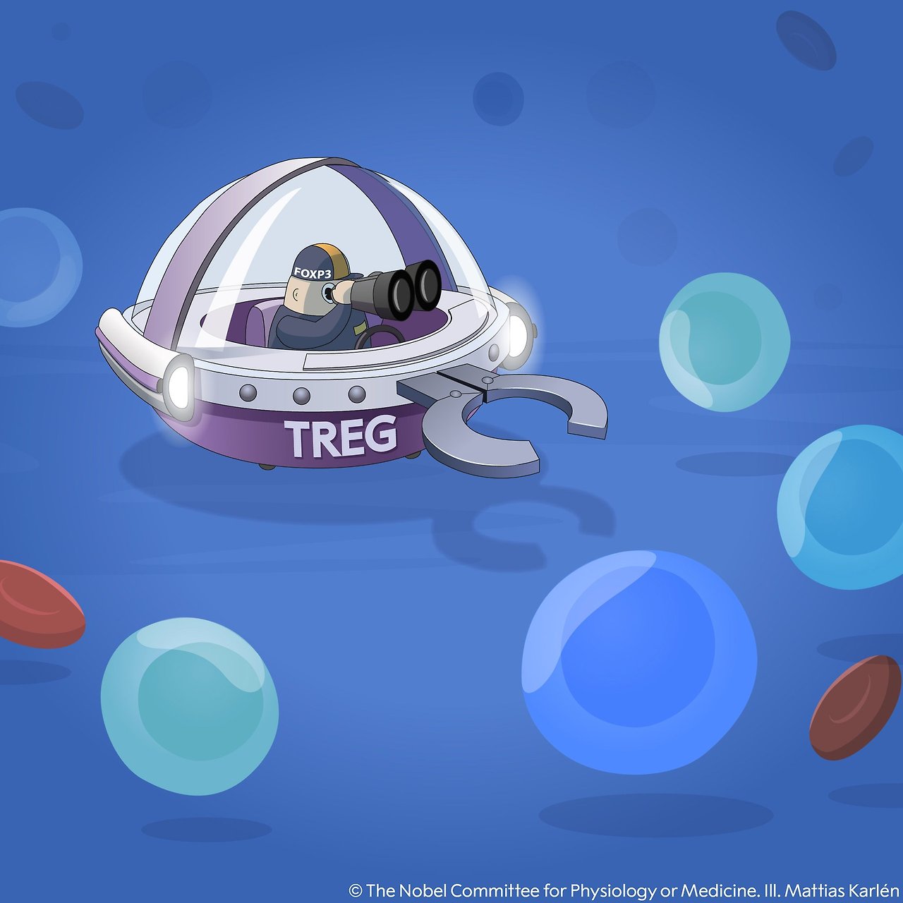 Nobel Prize Physiology 2025 3.jpg