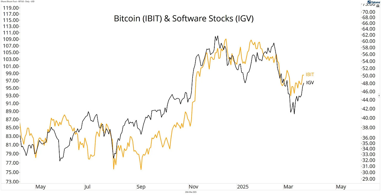 Bitcoin and Software in tandem 2024-05 to 2025-03.jpg
