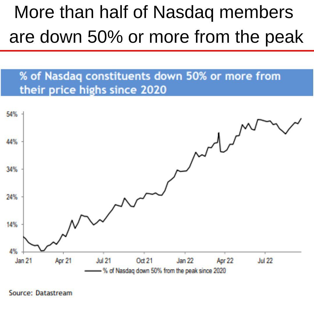 NASDAQ 2022-10 Down more than 50 percent.jpg