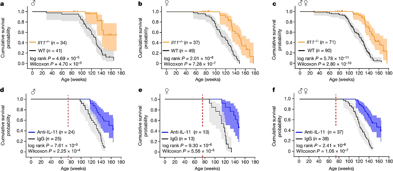 1L-11 for longevity.jpg