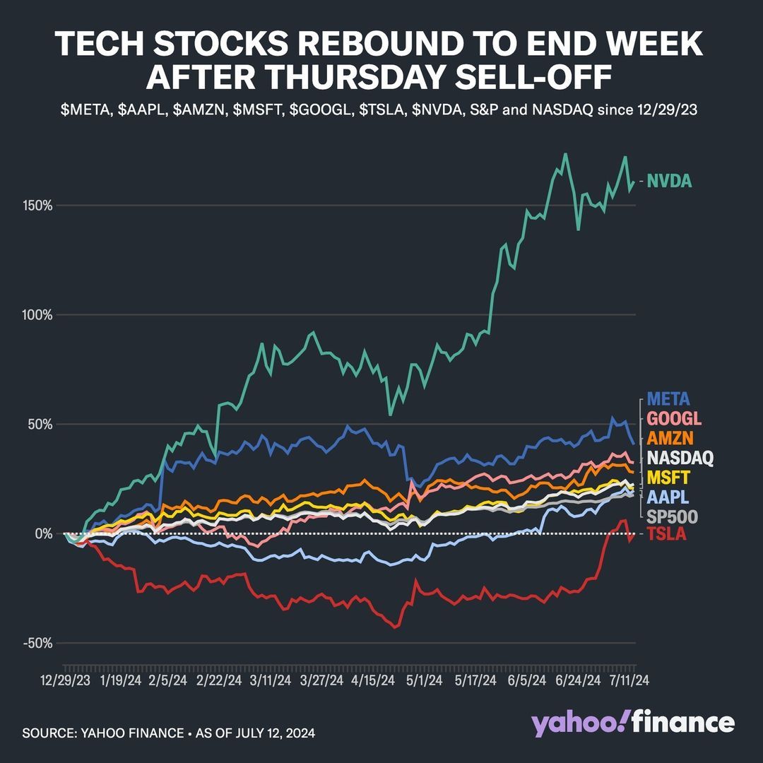Magnificent 7 2024-07W2 YTD.jpg