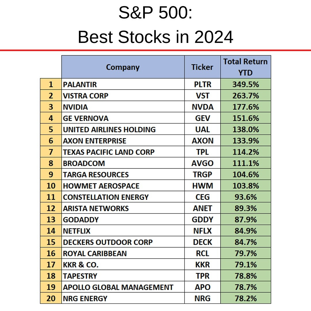 S&P 500 2024 Top 20.jpg