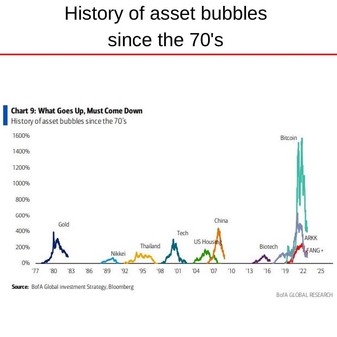 Asset bubbles history.jpg