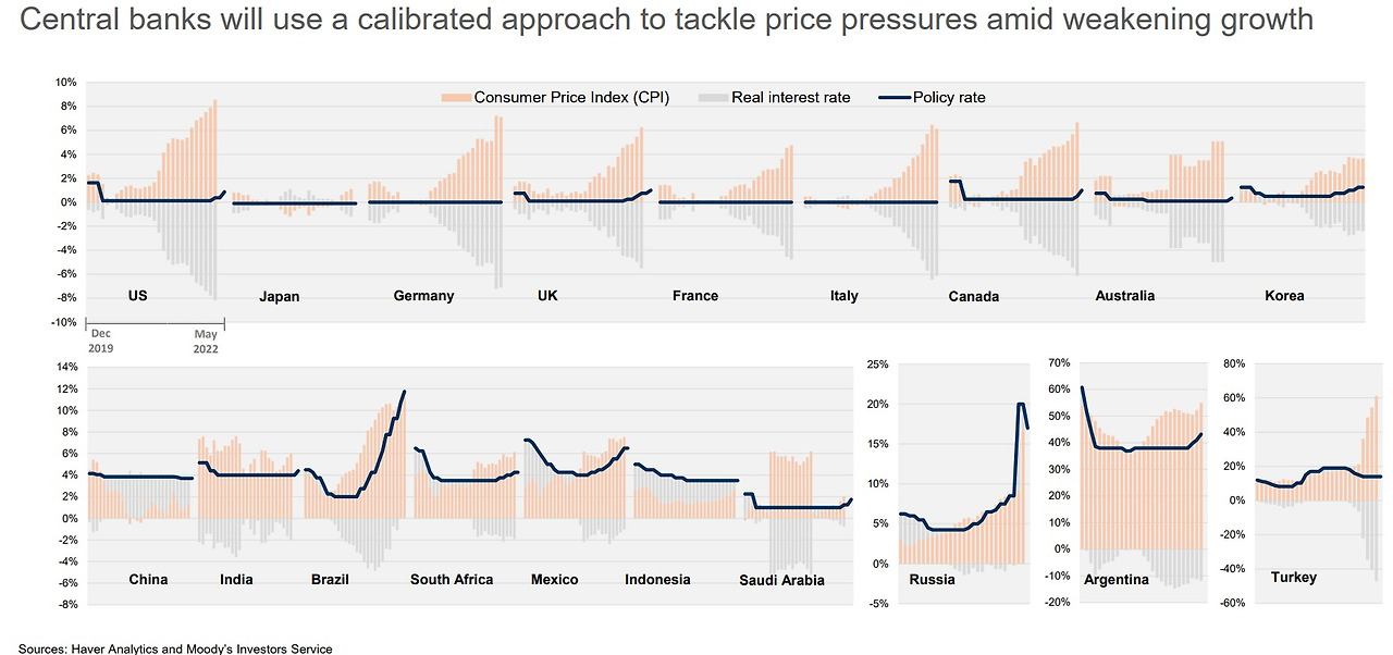 G20 Inflation Policy Rate Real interest rate 2022-05.jpg