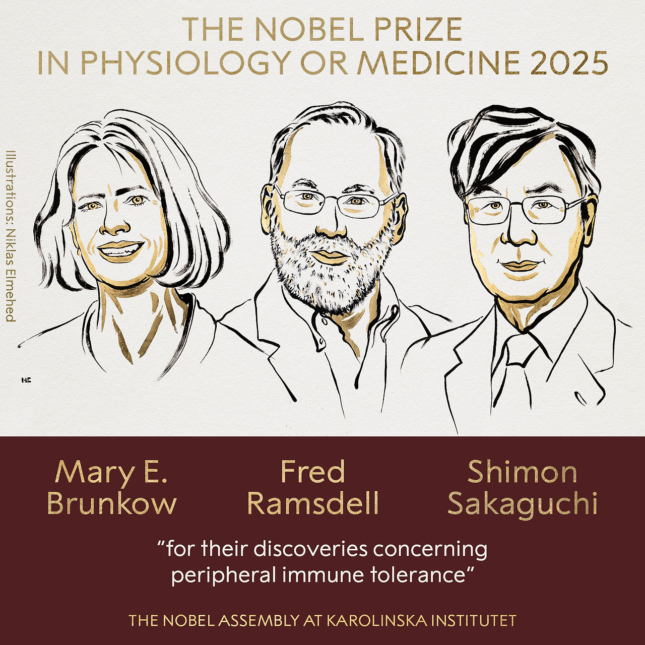 Nobel Prize Physiology 2025.jpg