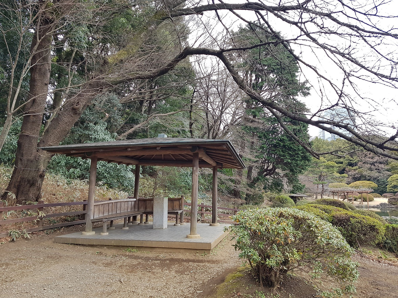 신주쿠 공원.jpg