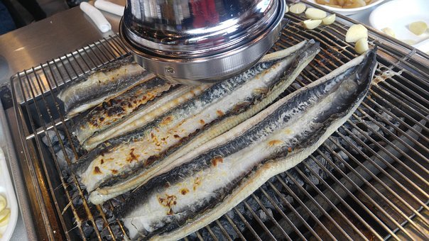 장어구이 픽사베이.jpg