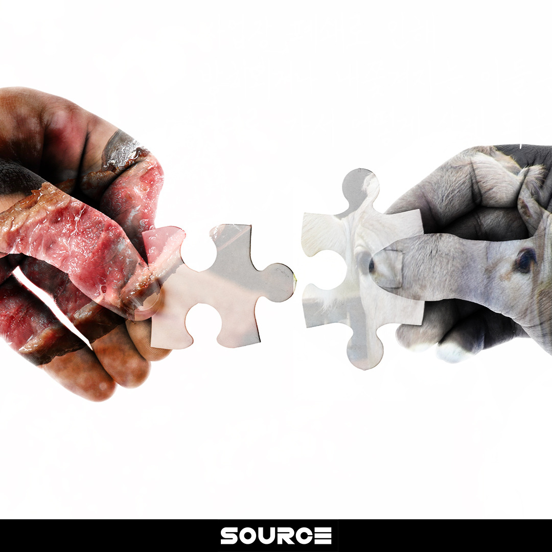 소고기 연결성.jpg