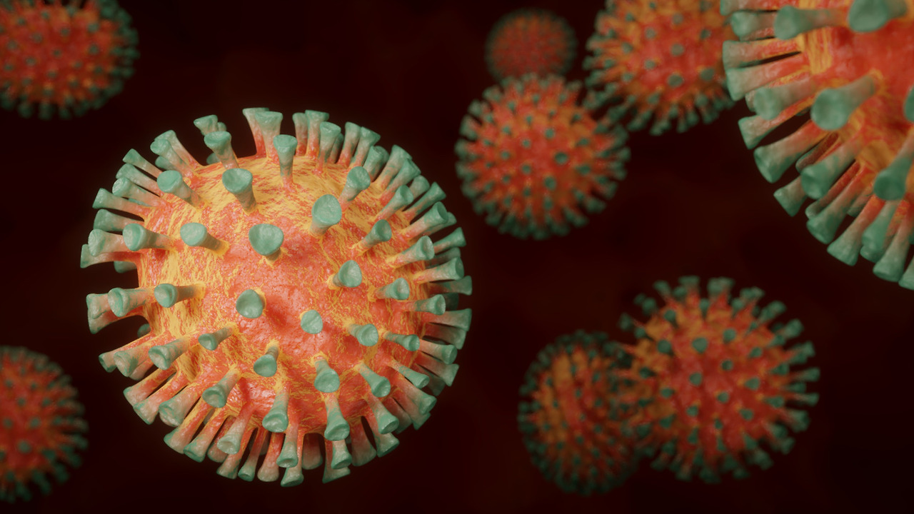 coronavirus-4972480.jpg