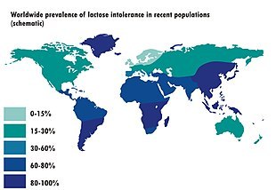 310px-Worldwide_prevalence_of_lactose_intolerance_in_recent_populations.jpg