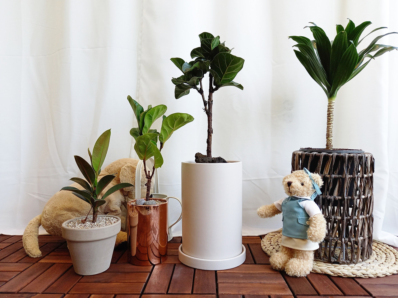 1 20210621_140239.jpg