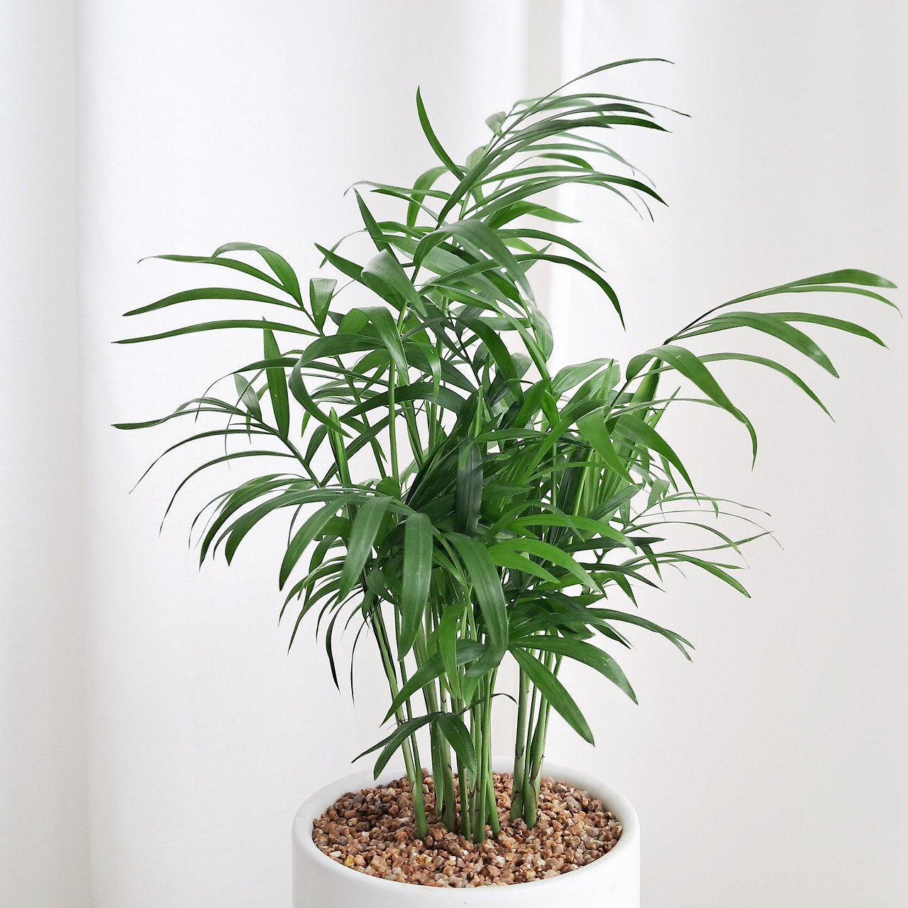 1 20231012_130636.jpg