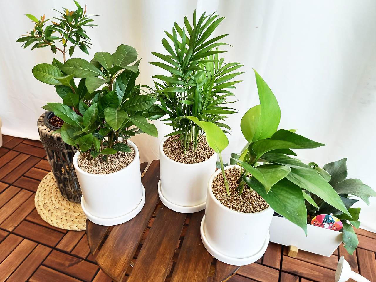 1 20210702_141620.jpg