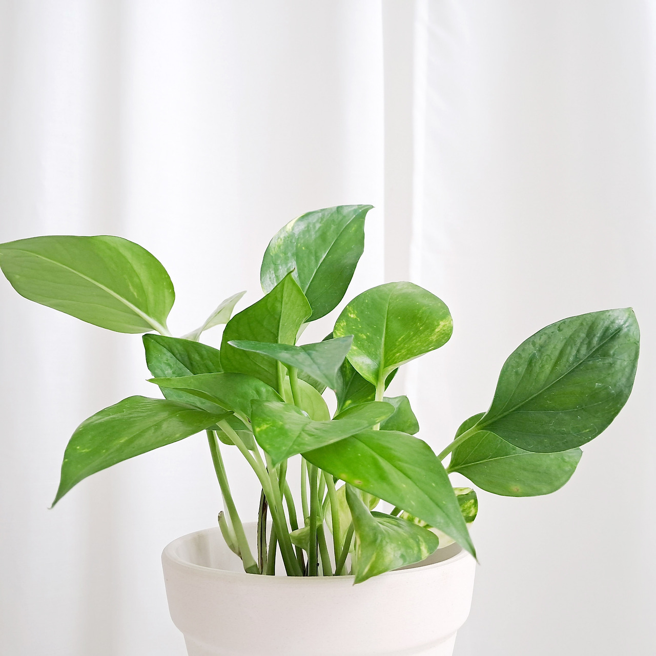 1 20230921_150156.jpg