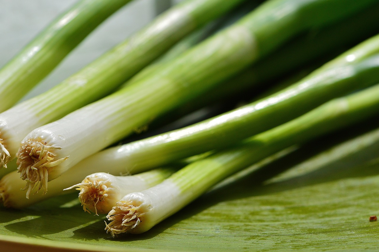 spring-onions-1303271_1280.jpg