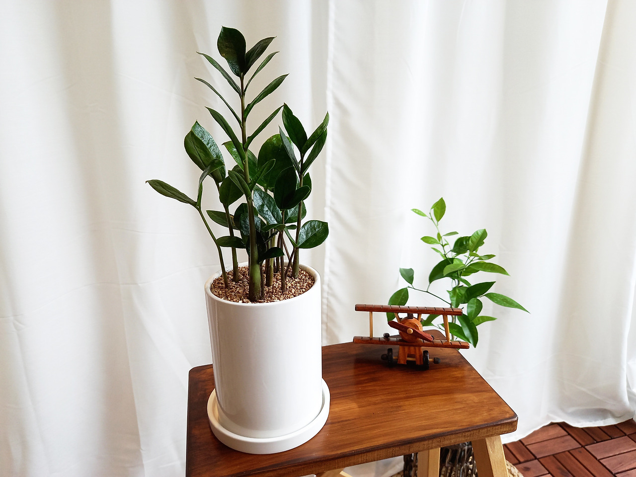 1 20210615_132453.jpg