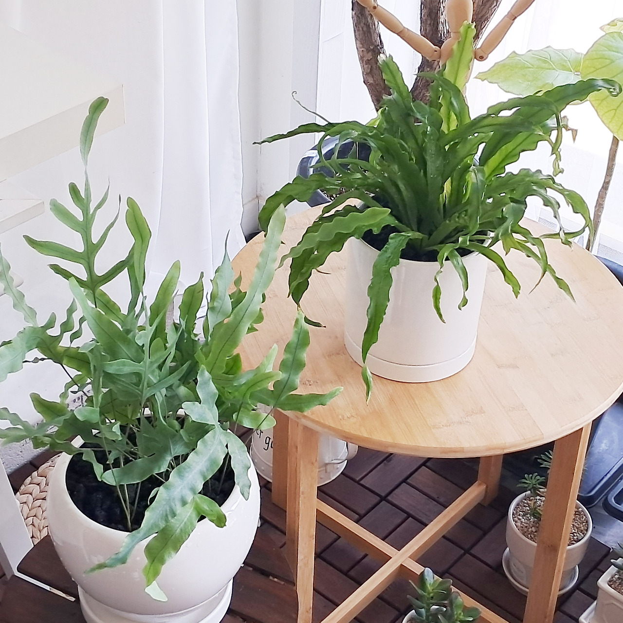 1 20231108_152415.jpg