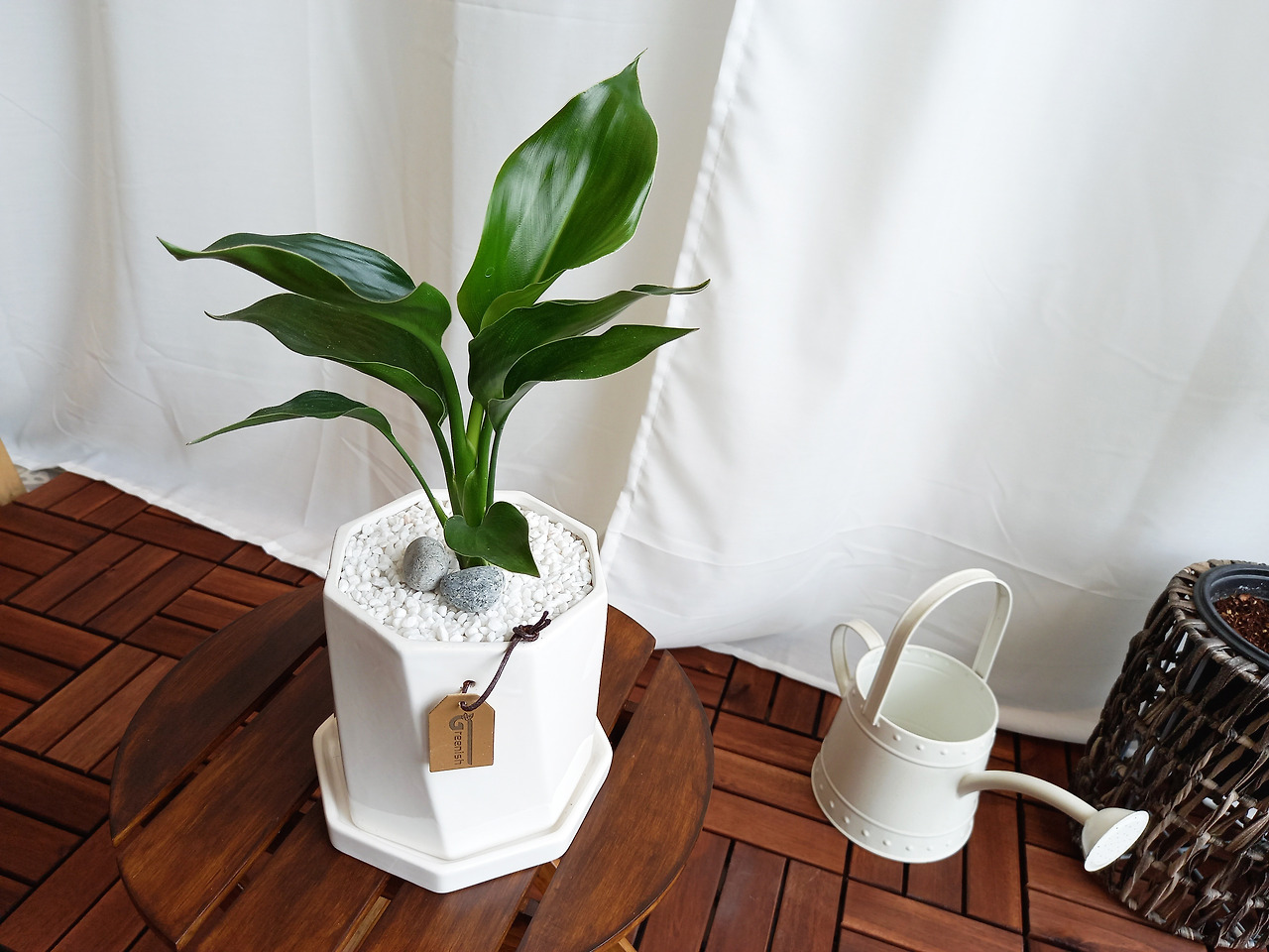 1 20210611_145146.jpg