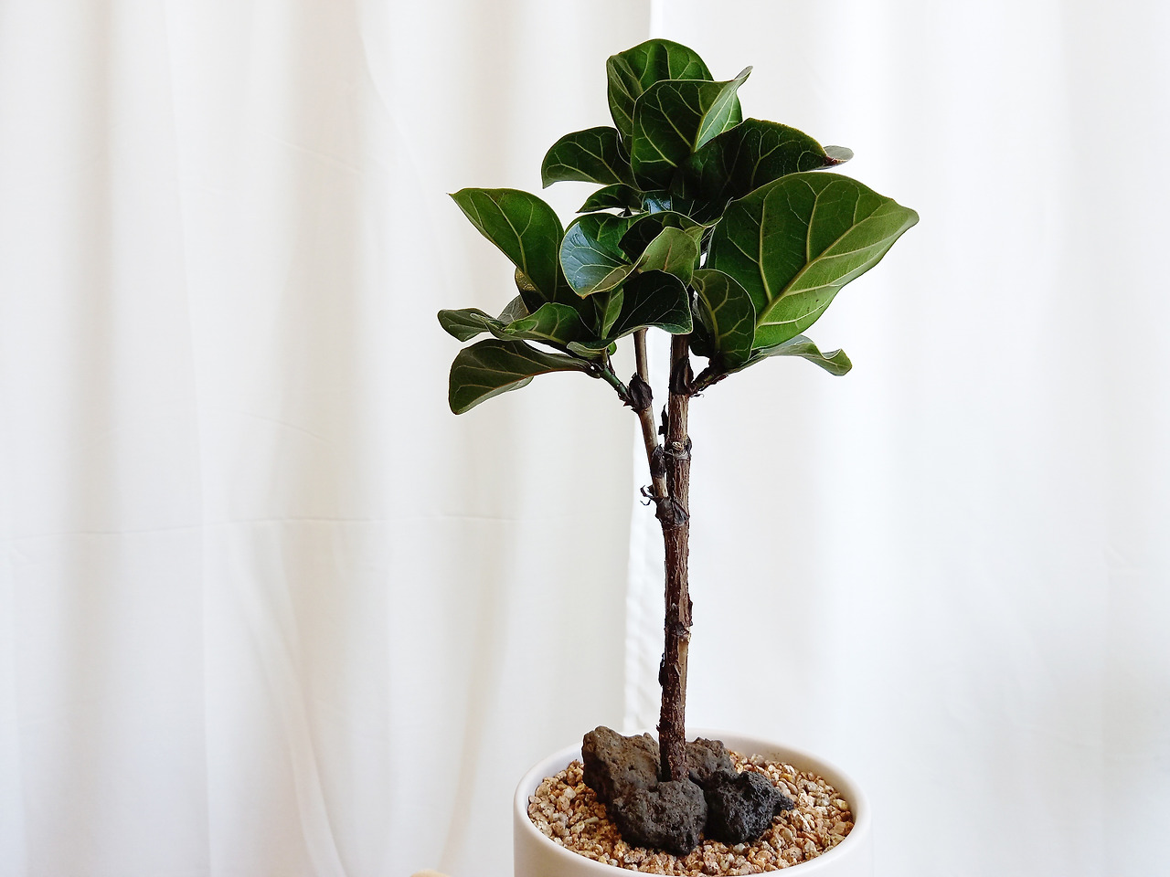 1 20210621_140605.jpg