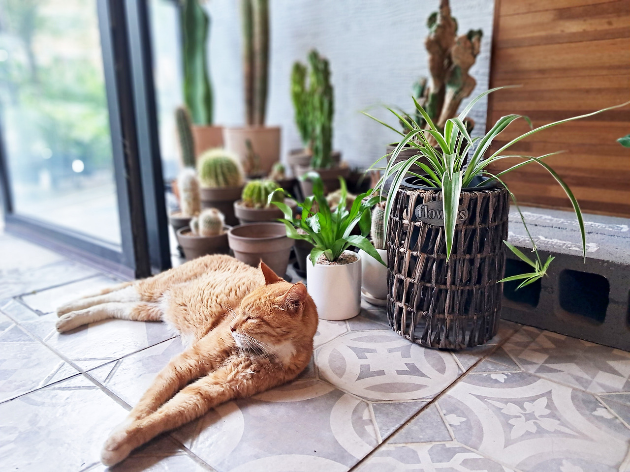 1 20230731_171344.jpg