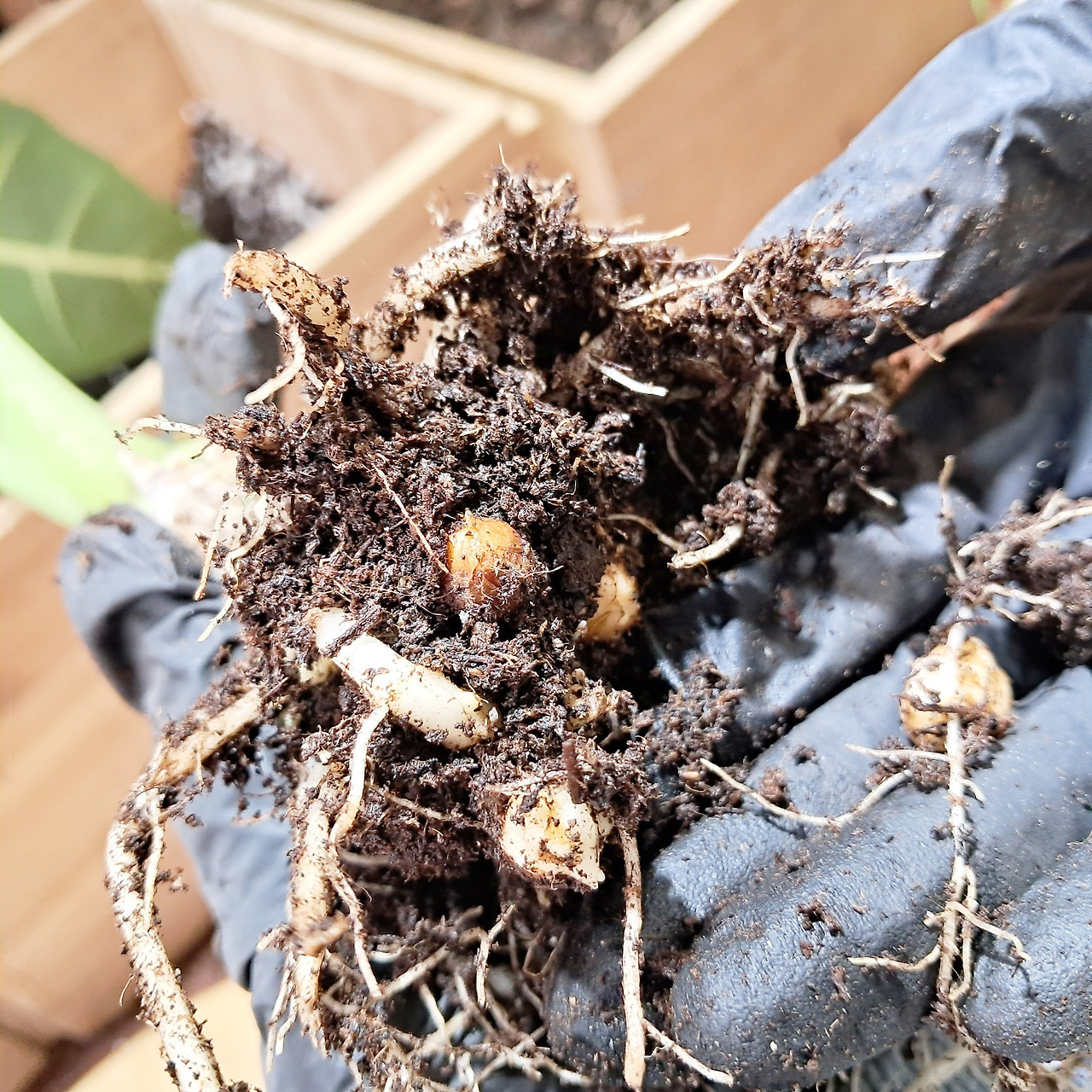 1 20240201_132920.jpg