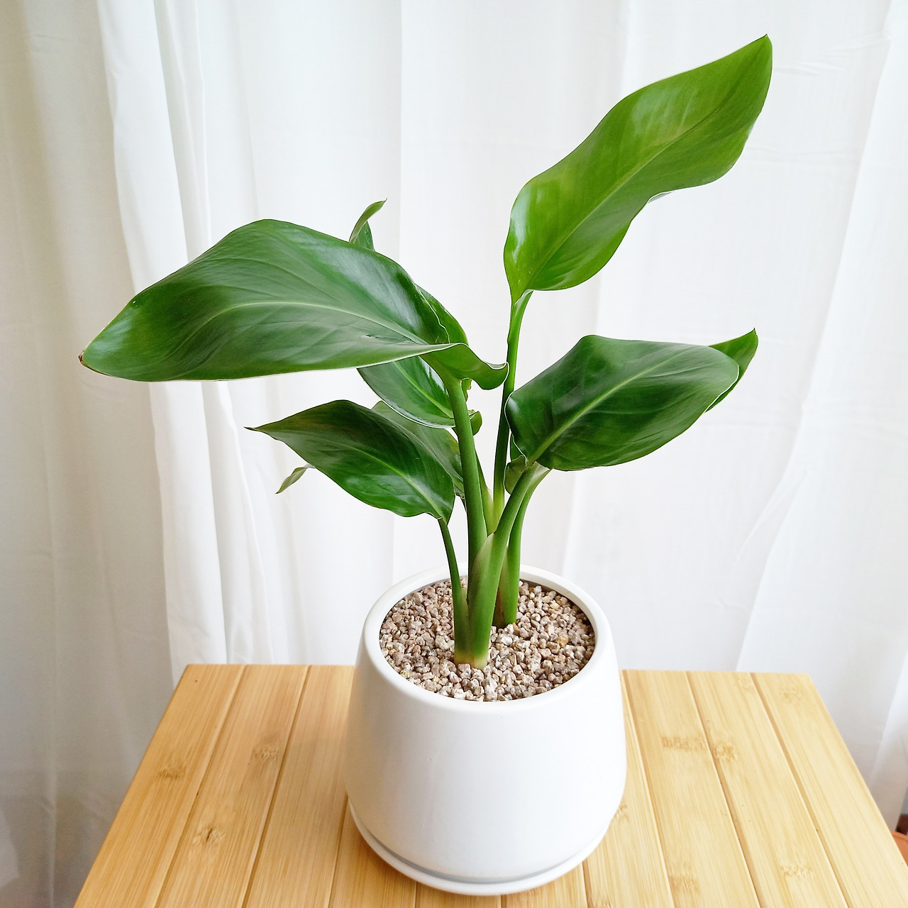 1 20220829_142313.jpg