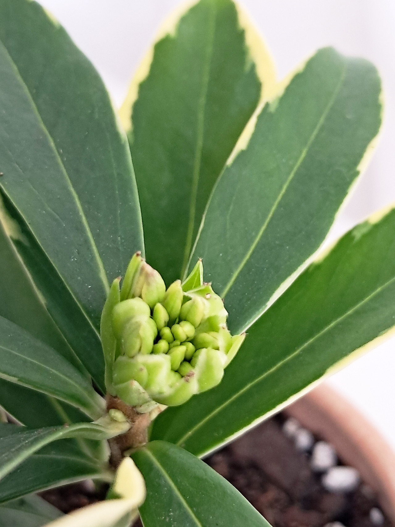 1 20240105_123416.jpg