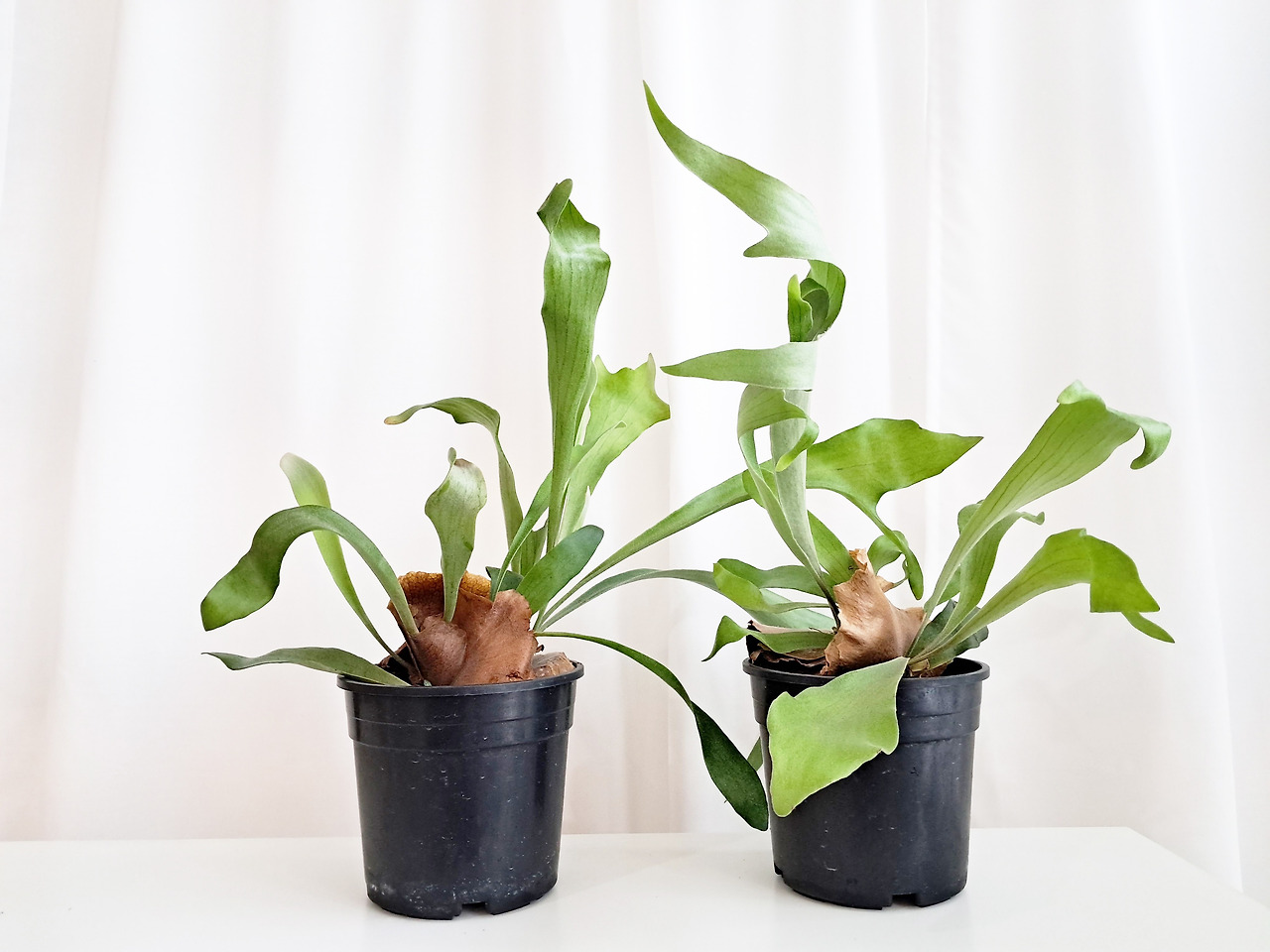 1 20230926_132906.jpg