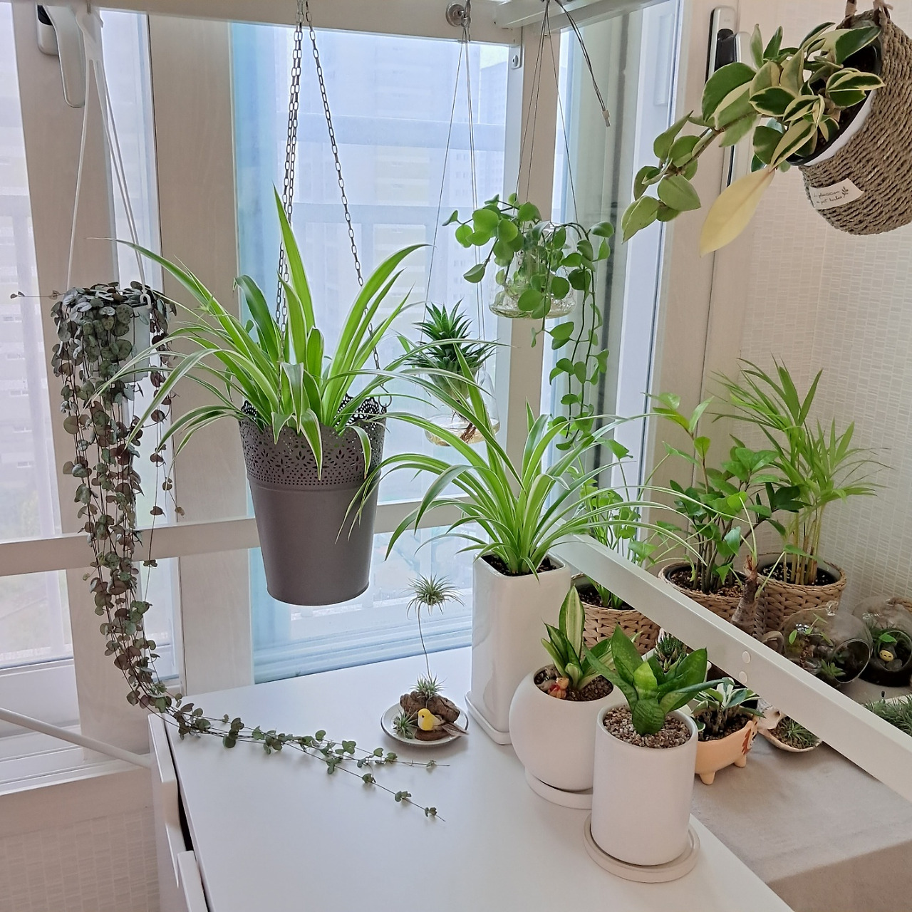 접란 인테리어 3.jpg