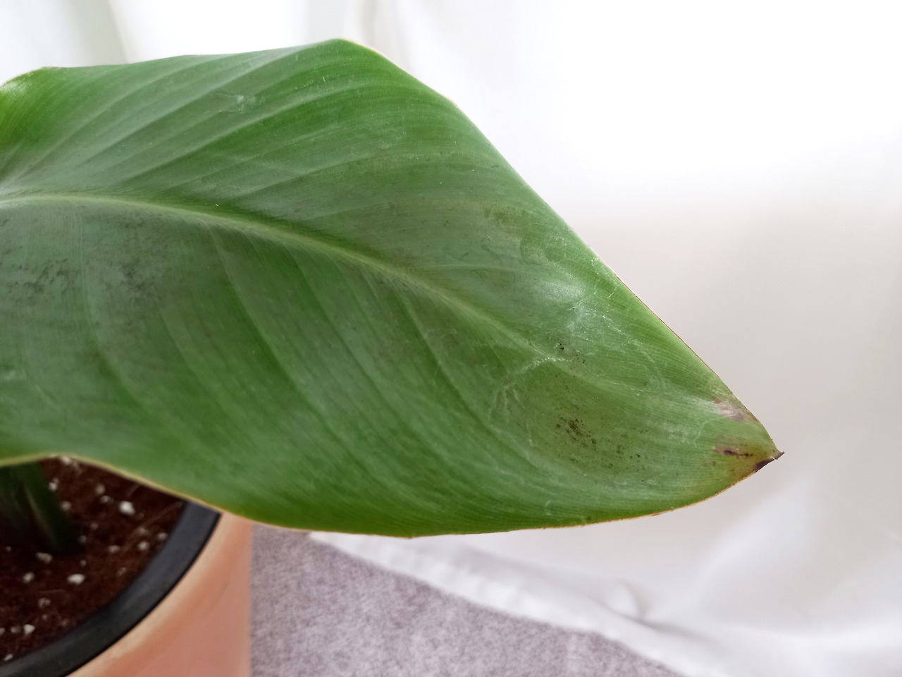 1 20220825_110915.jpg