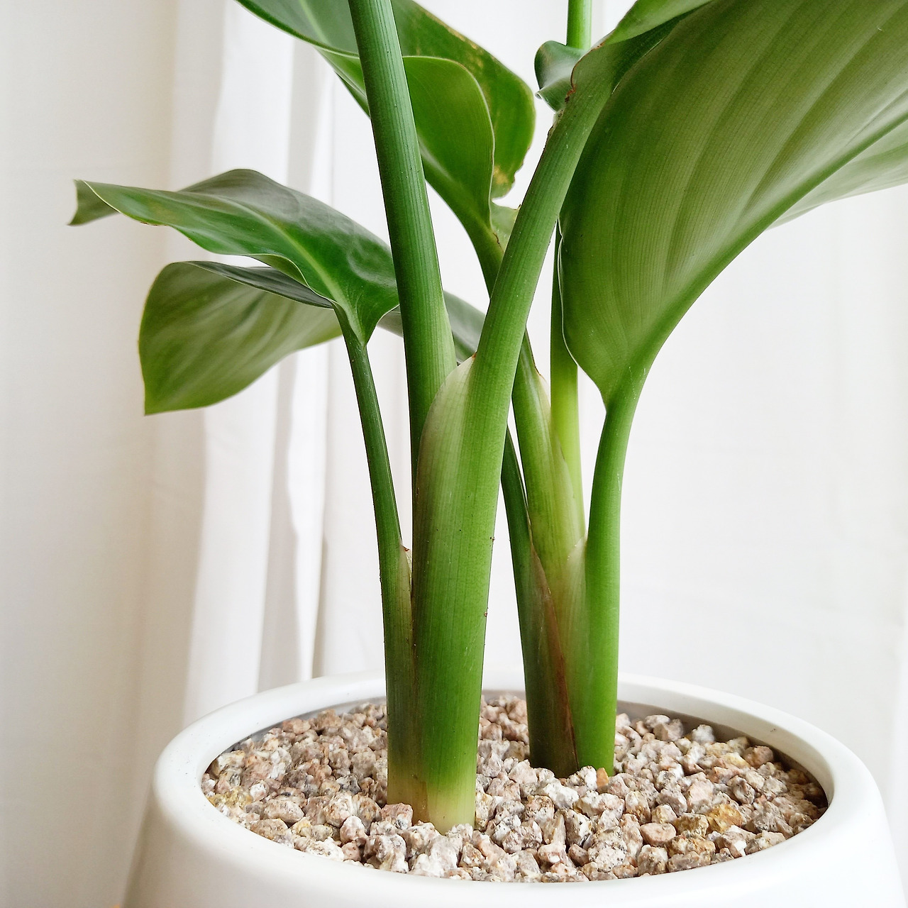 1 20220829_142413.jpg