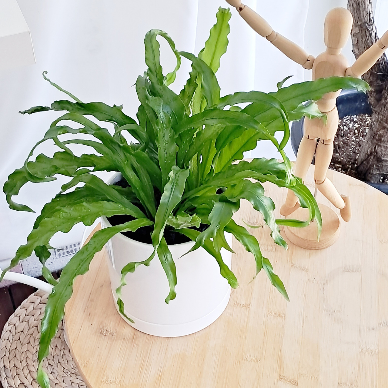 1 20231108_151921.jpg