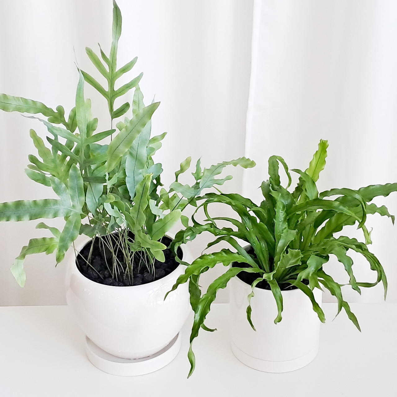 1 20231108_152258.jpg