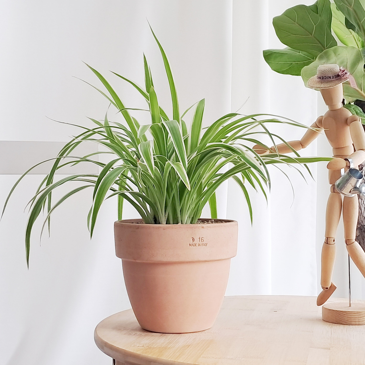 1 20231123_135852.jpg